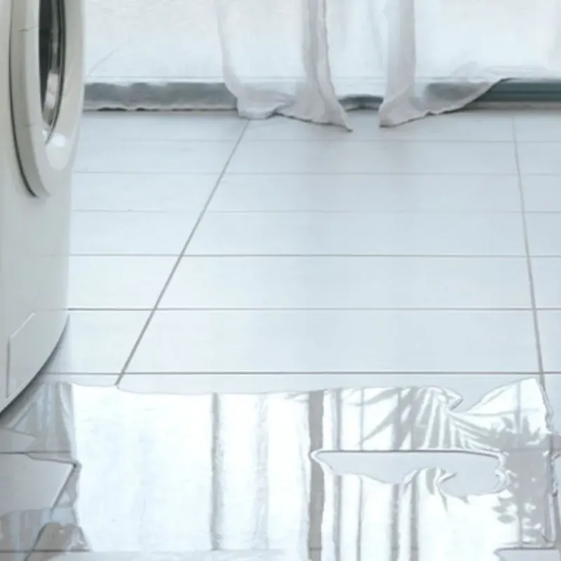 Appliance Leak Cleanup in Five Forks, SC